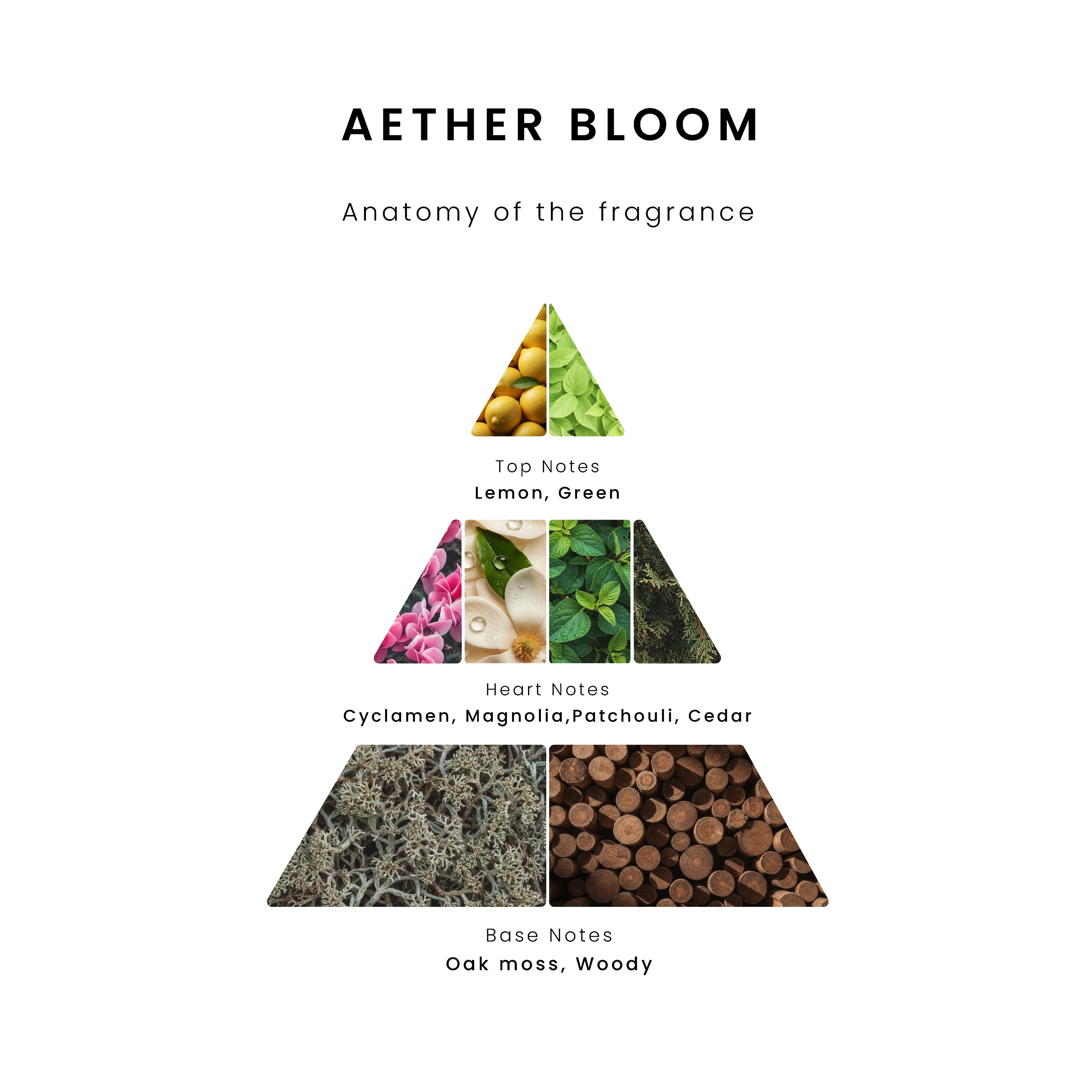 Infographic diagram showing the anatomy of Aether Bloom fragrance notes arranged in a pyramid. Top notes include lemon and green; heart notes include cyclamen, magnolia, patchouli, and cedar; base notes include oak moss and woody accords.