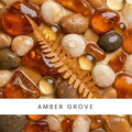 Amber Grove