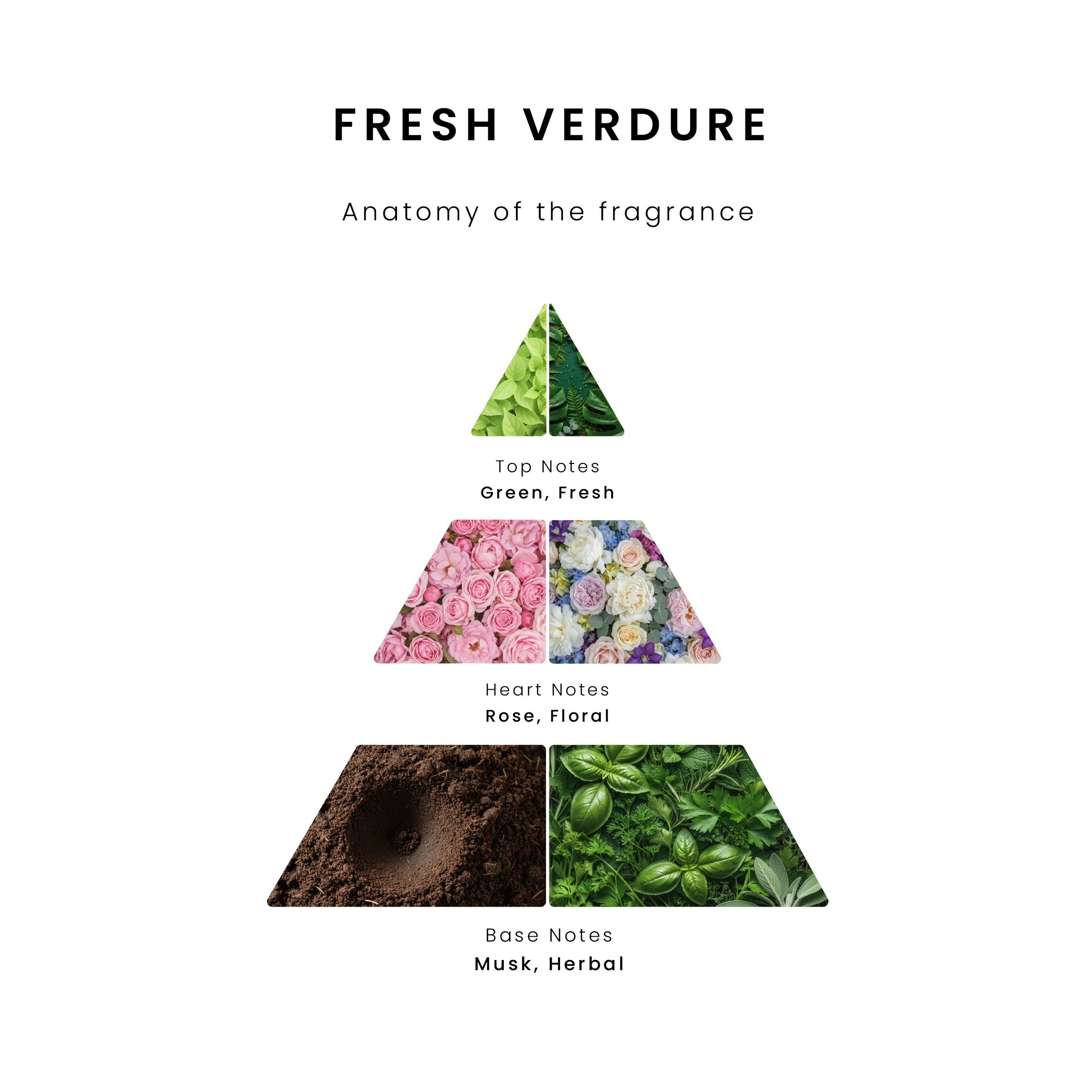Fresh Verdure