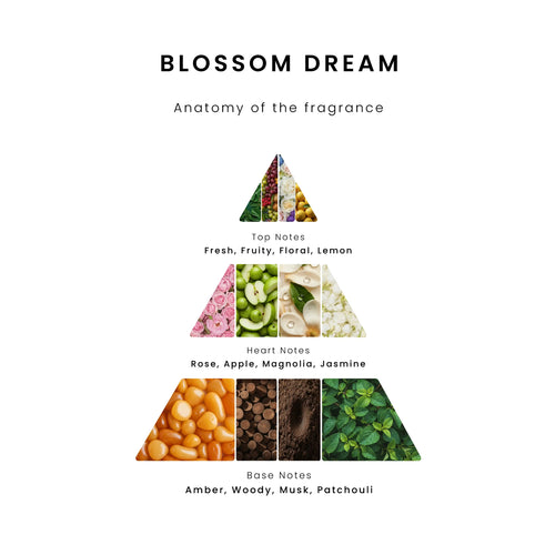 Blossom Dream