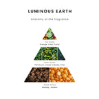 Luminous Earth