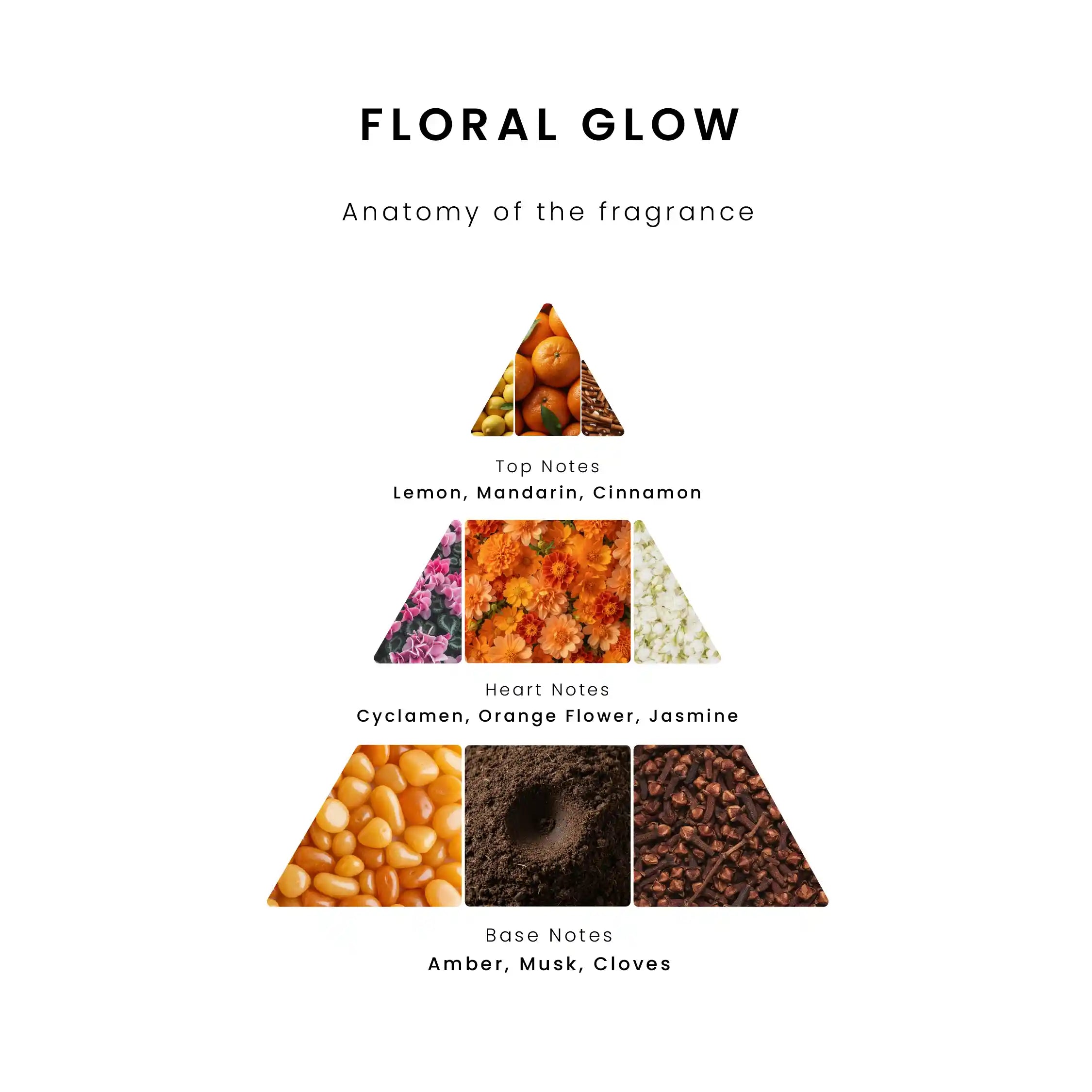 Floral Glow