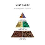 Mint Surge